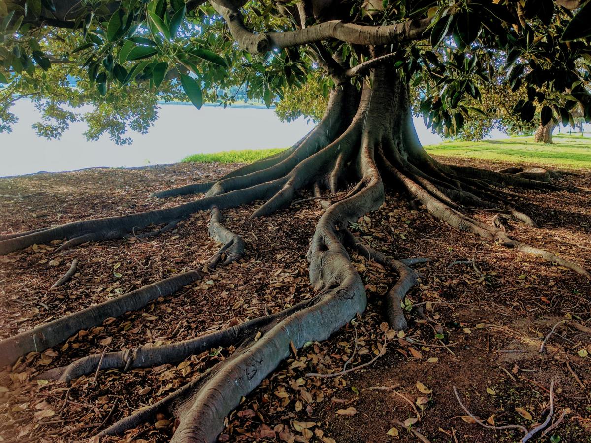 Empathy in Engineering: Part 1, The Most Valuable&nbsp;Resource