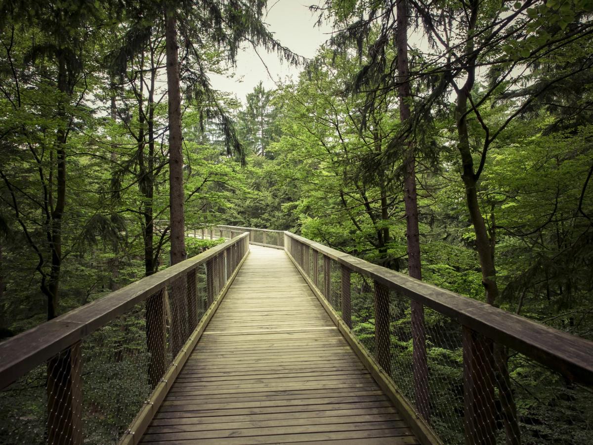 Empathy In Engineering Part 3: Six Steps to&nbsp;Empathy